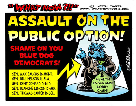 SHAME ON YOU!  ''Democratic'' Senators vote for their pockets, not their public